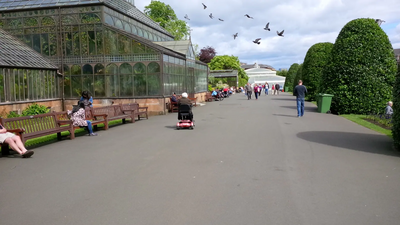 Image courtesy of DC Glasgow Botanics
